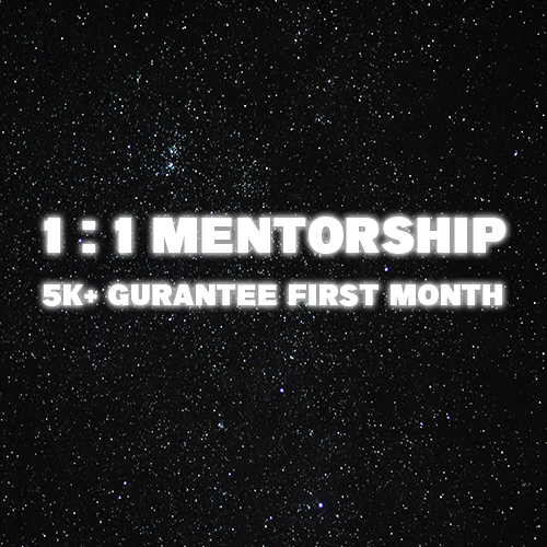 1 ON 1 MENTORSHIP